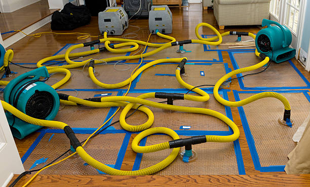 Professional Basement Flood Cleanup technician working in Elgin, MN